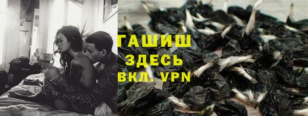 ПСИЛОЦИБИНОВЫЕ ГРИБЫ Балахна